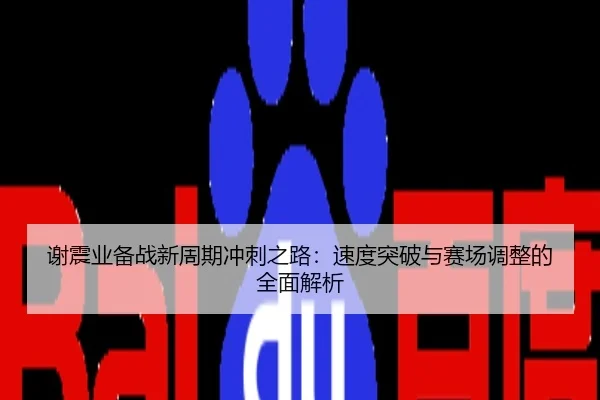 谢震业备战新周期冲刺之路：速度突破与赛场调整的全面解析
